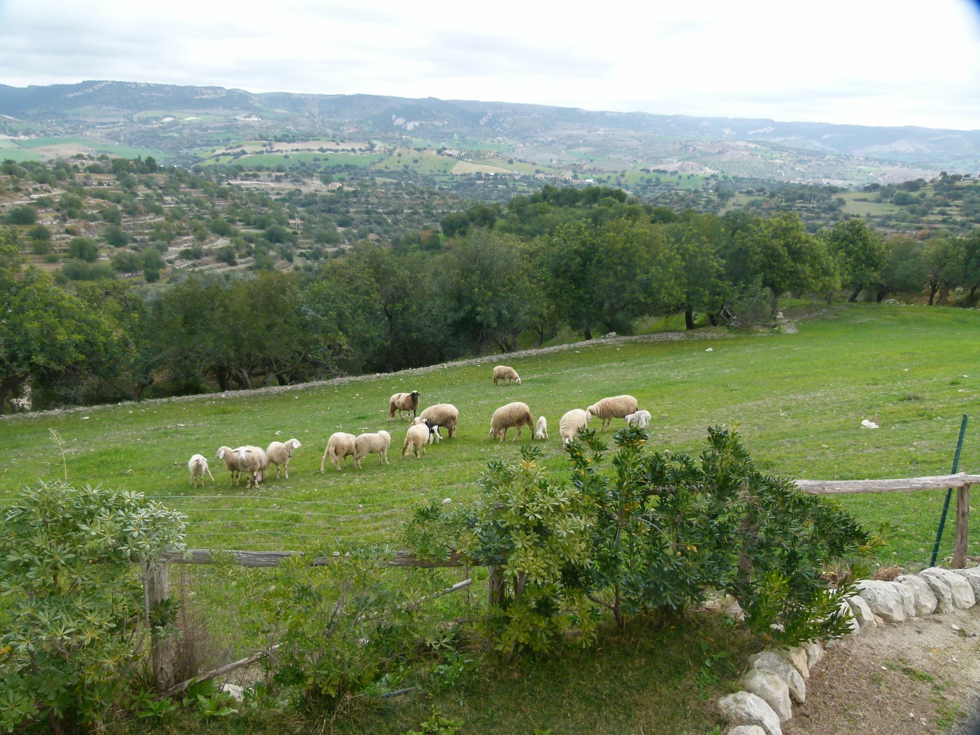 Agriturismo Villa Gaia Modica Exterior photo